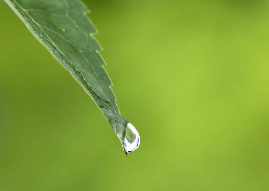 感悟美文：做人，决定一个人大器晚成的三大特性，你有几个吗？