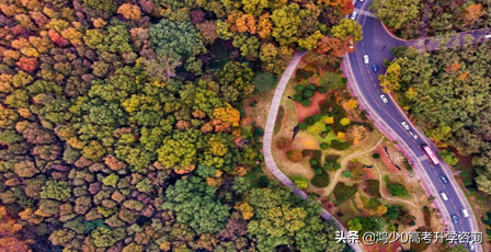 抖音怎么玩？玩抖音常见的八个问题，附详细解决方法
