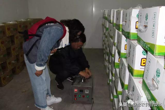水果批发商赚钱吗？