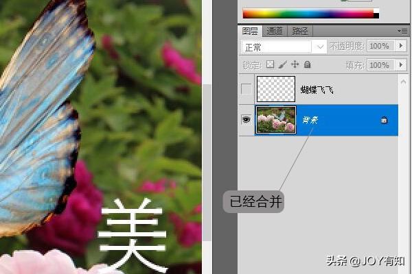 Photoshop入门到精通：图层基本操作，向下合并和合并可见图层