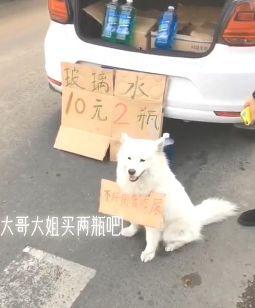 《岳阳摆摊地点》新鲜出炉！你要转行摆地摊吗？