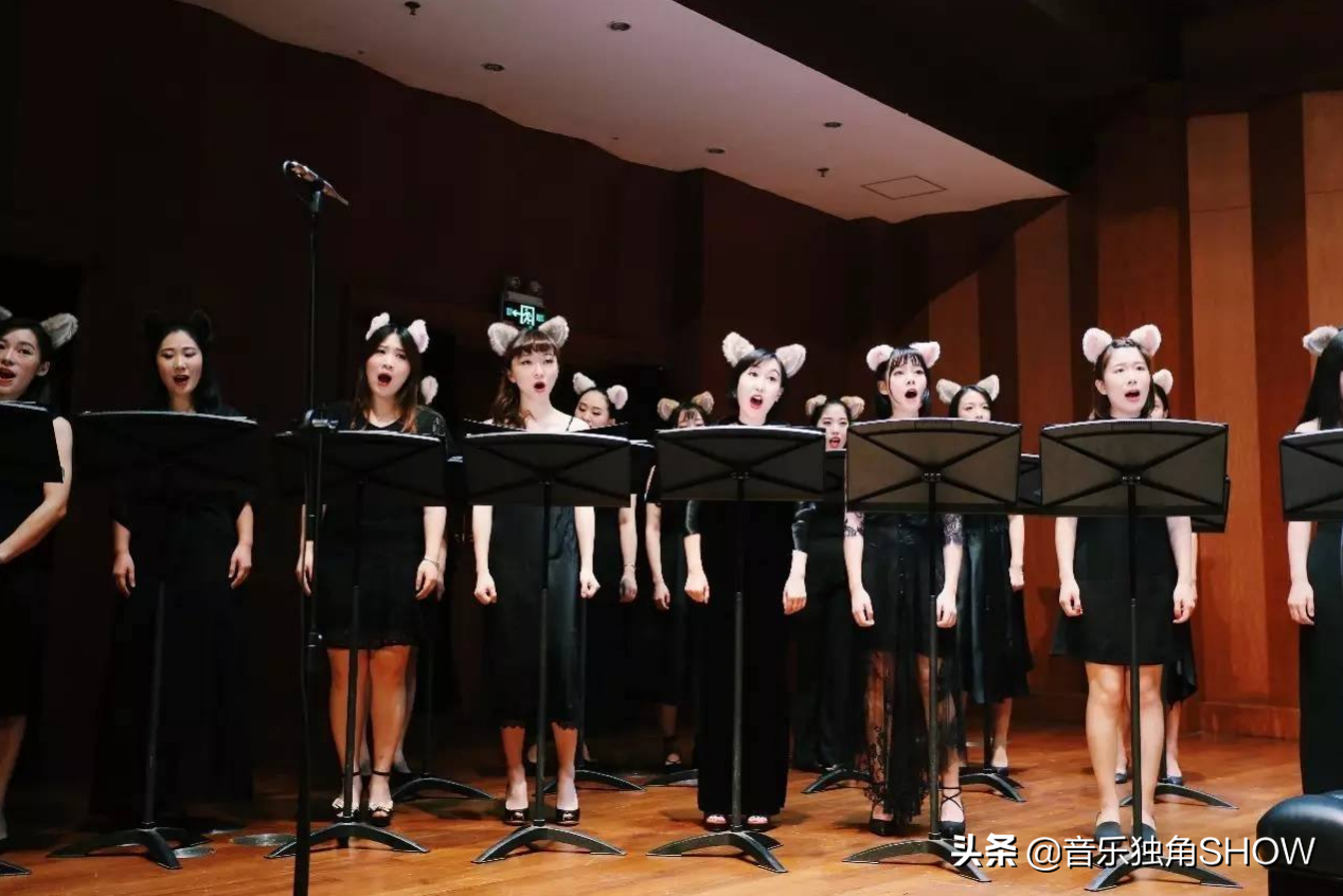 2019年超火的抖音神曲，最后一首太洗脑，连陈赫都忍不住合拍