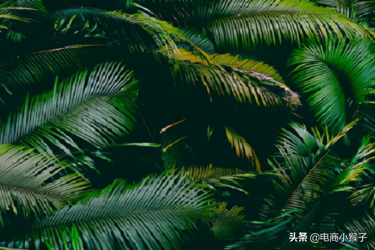 抖音违规了多久能正常？封号如何处理？