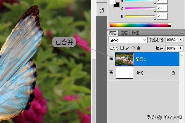 Photoshop入门到精通：图层基本操作，向下合并和合并可见图层