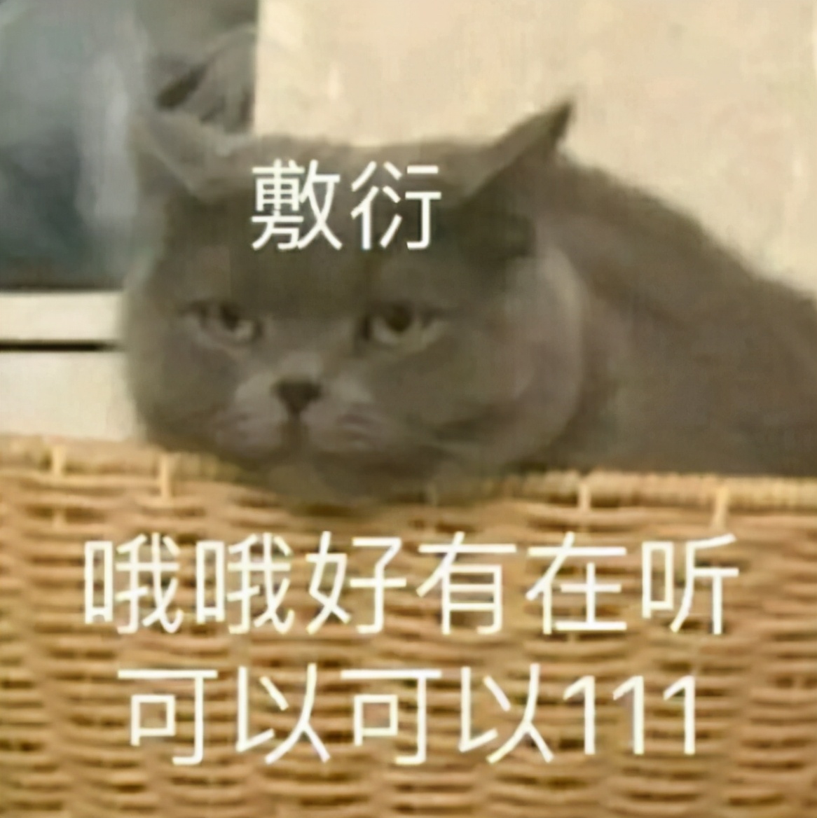 双击W直接起飞，剑网三玩家的习惯性操作，竟让游戏大神不知所措