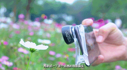 手机就能拍出微距效果，比肩单反的虚化效果？