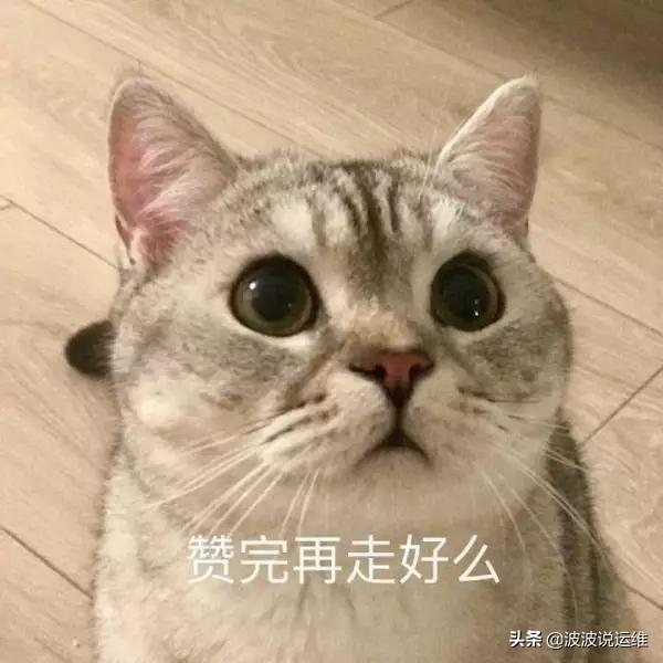 Nginx/Lighttpd/Apache三大主流web服务器对比分析