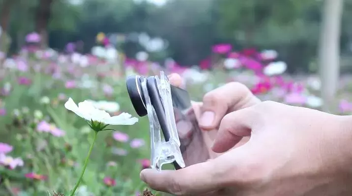 手机就能拍出微距效果，比肩单反的虚化效果？