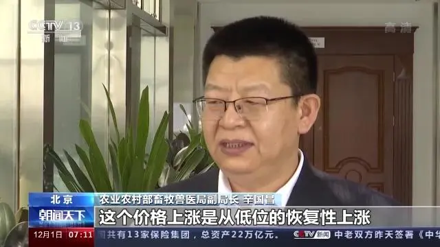 生猪养殖总体告别亏损！不过官方预计猪肉价格继续大幅上涨可能性不大