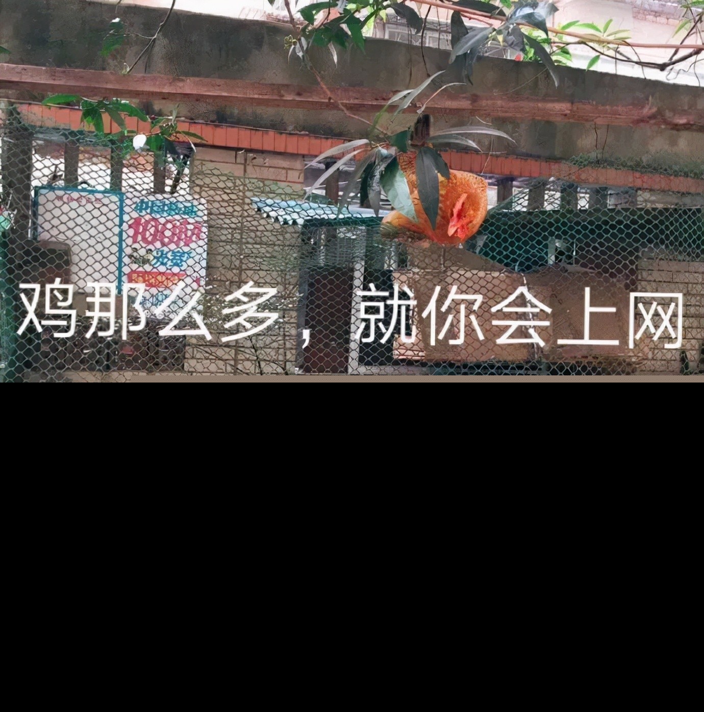 Windows 的新玩法，学会这些小技巧女神都找你修电脑