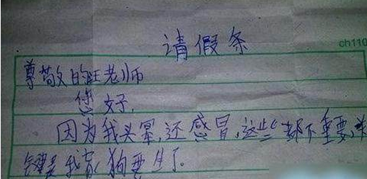 小学生奇葩逆天请假条把老师气吐血