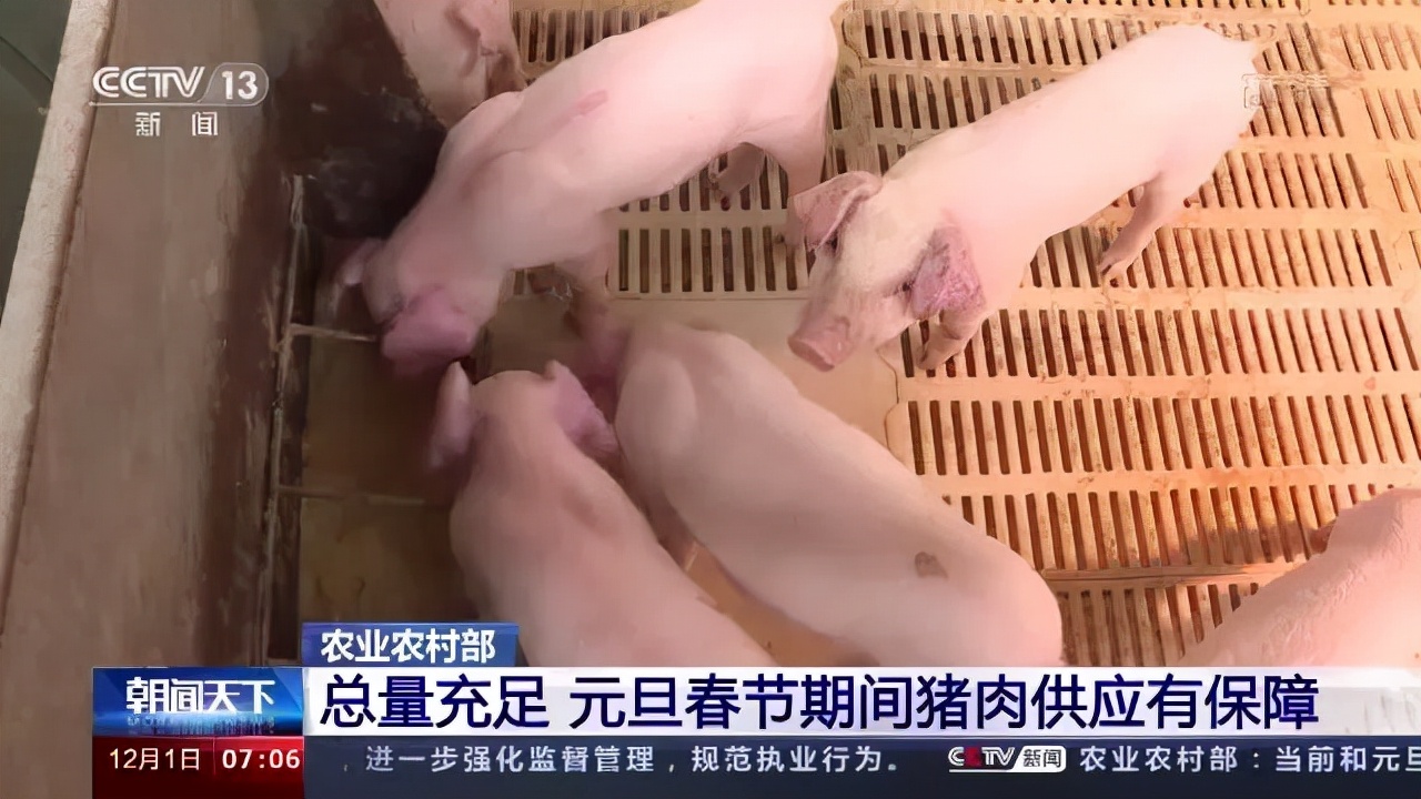 生猪养殖总体告别亏损！不过官方预计猪肉价格继续大幅上涨可能性不大