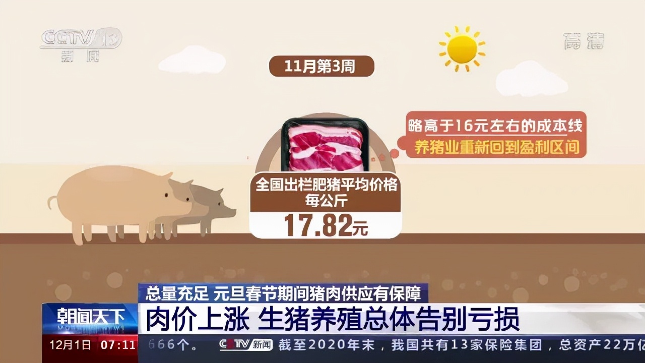 生猪养殖总体告别亏损！不过官方预计猪肉价格继续大幅上涨可能性不大