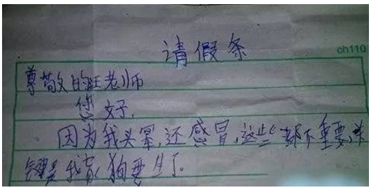 爆笑小学生奇葩请假条