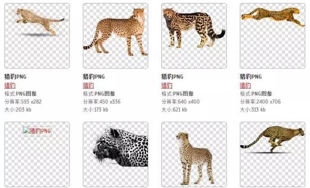 还在为图片发愁？无版权图片素材网站大合集！