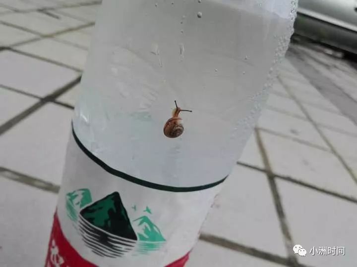 魔兽世界怀旧之AFK篇