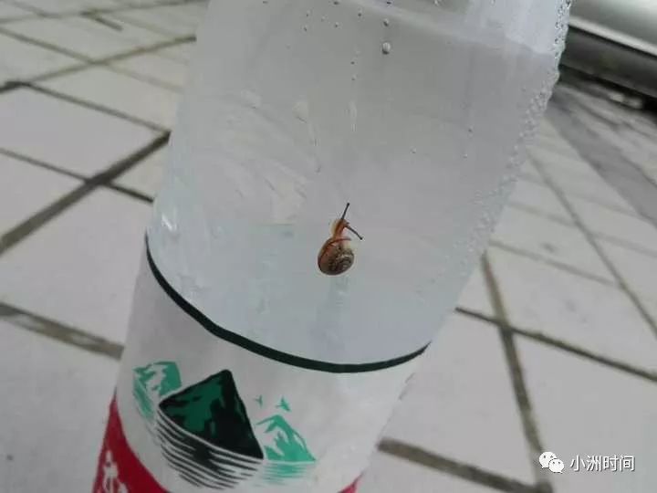 魔兽世界怀旧之AFK篇