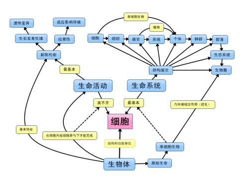 高中生物思维导图大全
