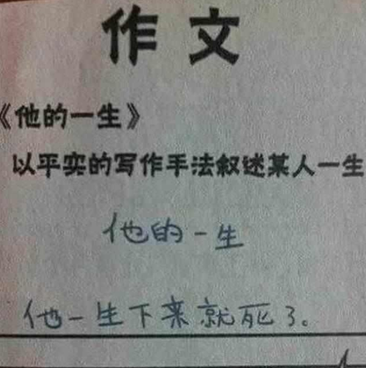 雷人小学生奇葩作文