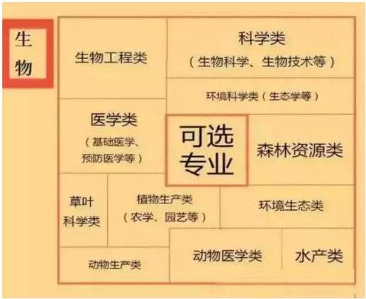 高中选科对应的大学专业