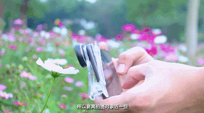 手机就能拍出微距效果，比肩单反的虚化效果？