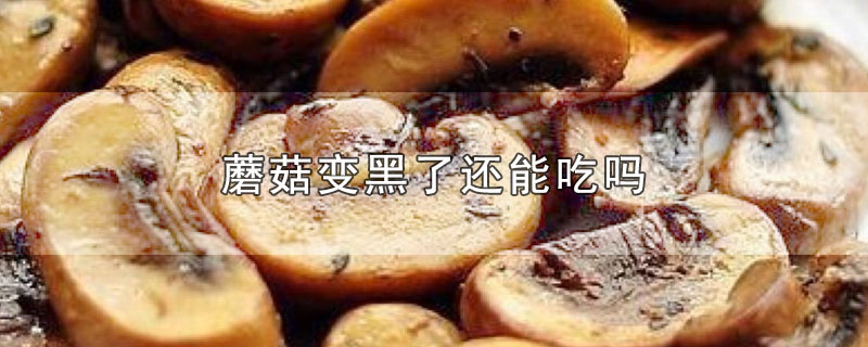 蘑菇变黑了还能吃吗