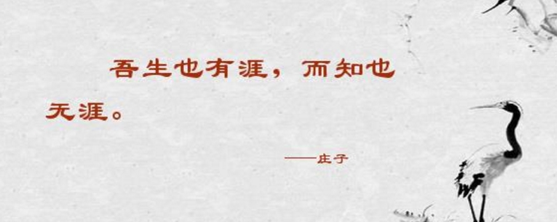 生有涯而学无涯什么意思 生有涯而学无涯什么意思