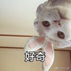 如何将MOV转换为MP4？用它，帮你轻松转换