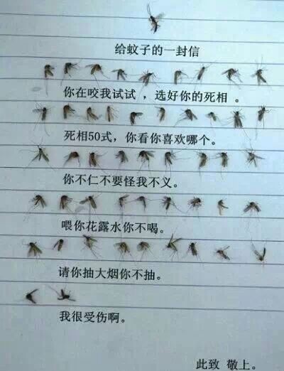 精简短句个性签名(精选16句)