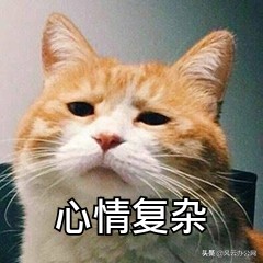 在手机上如何使视频变速？变速播放就是这么轻松