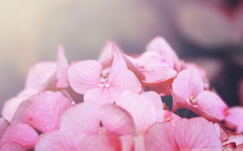 适合女神节发的说说 2021年女神节发朋友圈说说