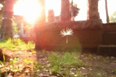 元宵节空间说说(精选14句)