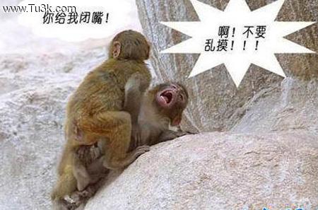 成熟男人有魅力的说说(精选12句)
