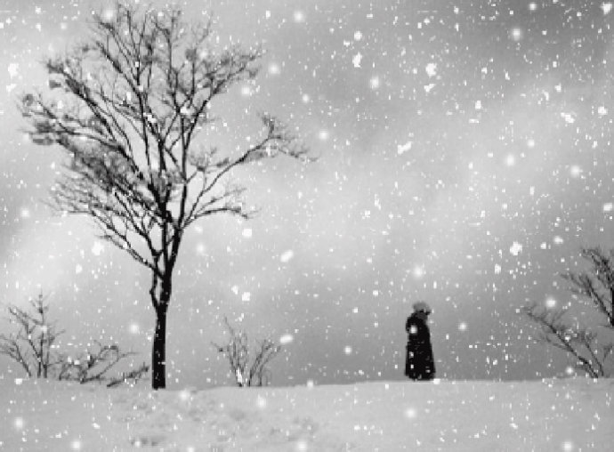 关于下雪的说说(精选21句)