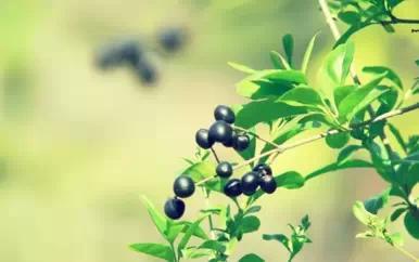 真正的朋友，无须想起，因为从未忘记(精选19句)