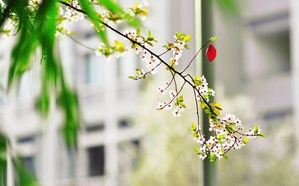 微信个性说说大全：既然已经伤害了过去，就不(精选23句)