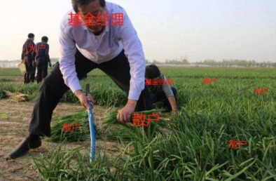 关于买基金的心情说说 买基金的幽默文案(精选25句)