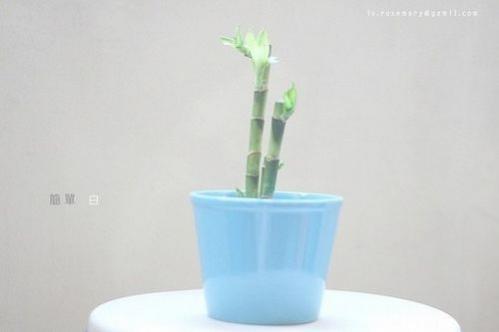 月考的心情说说 即将月考的说说(精选12句)