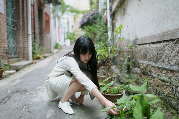 关于情感的说说 内心真正的快乐，是物质世界永(精选2句)