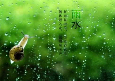2021雨水节气的早安心情说说 雨水发朋友圈的早安