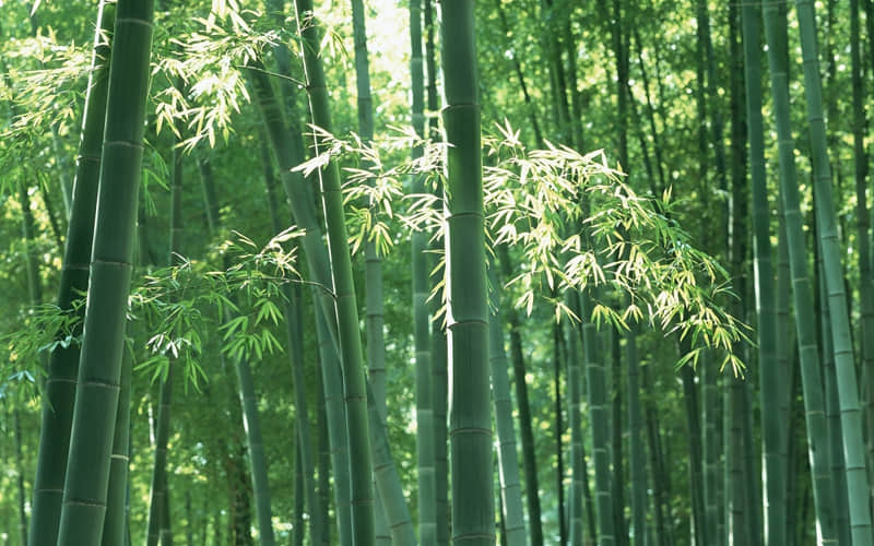 晚上好的心情说说(精选12句)