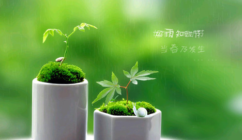寂寞的伤感心情说说大全(精选21句)