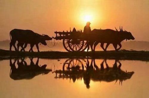 写夕阳西下的优美句子 描写夕阳西下时的句子(精选58句)
