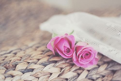 关于七夕的个性签名 花心被人骂。专心被人耍(精选18句)