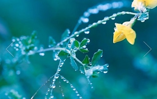 关于生日的说说 幸运的你，明天会更好(精选30句)