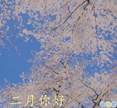 2021一月再见二月你好唯美心情说说 二月第一天早