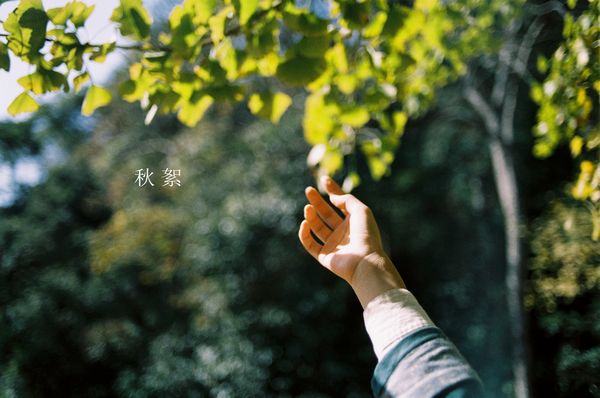 励志生活的说说(精选21句)