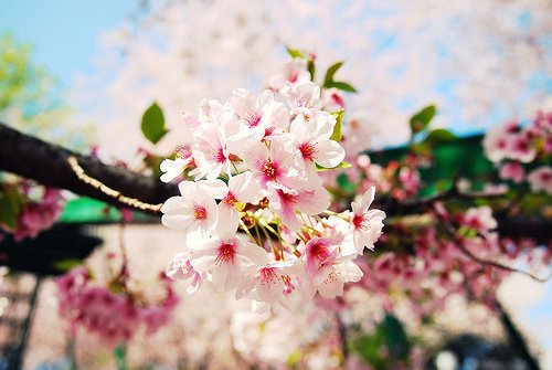 神兽开学了幽默搞笑文案 神兽回笼的心情说说发(精选20句)