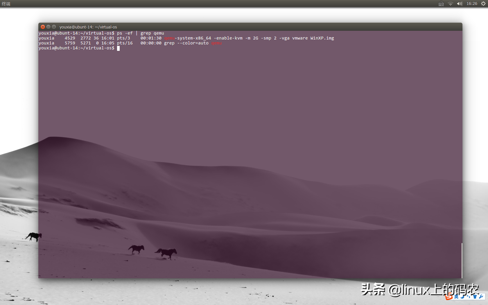 linux系统下，我也用虚拟机——linux虚拟机随笔