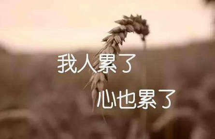 心累走在抑郁的边缘，不懂得如何放过自己文案(精选23句)